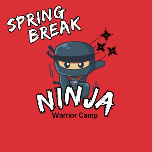 Spring into Action with Our Ninja Warrior Spring Break Camp!